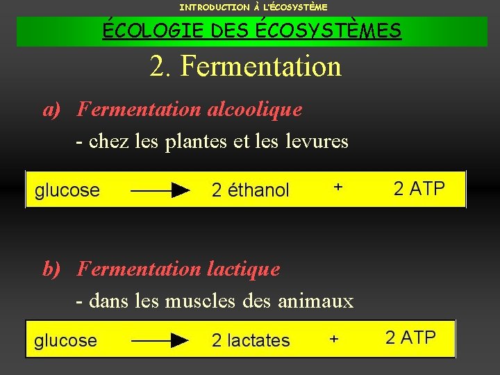 INTRODUCTION À L’ÉCOSYSTÈME ÉCOLOGIE DES ÉCOSYSTÈMES 2. Fermentation a) Fermentation alcoolique - chez les