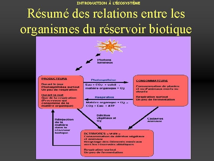 INTRODUCTION À L’ÉCOSYSTÈME Résumé des relations entre les organismes du réservoir biotique 