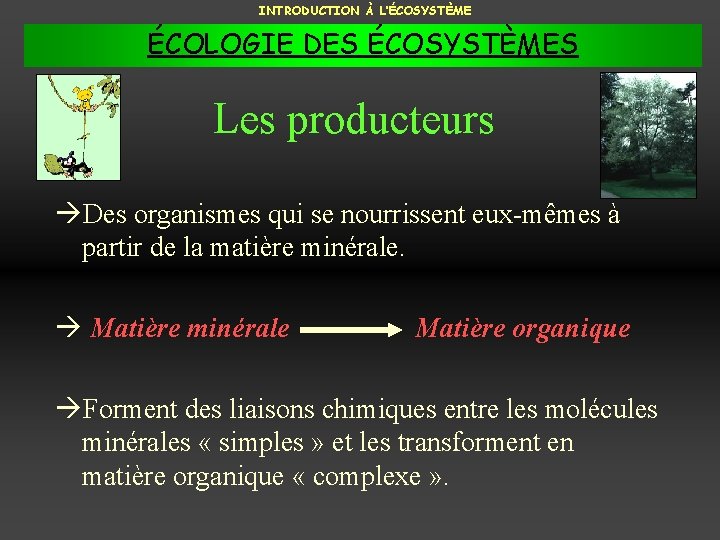 INTRODUCTION À L’ÉCOSYSTÈME ÉCOLOGIE DES ÉCOSYSTÈMES Les producteurs Des organismes qui se nourrissent eux-mêmes