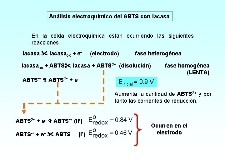 Análisis electroquímico del ABTS con lacasa En la celda electroquímica están ocurriendo las siguientes