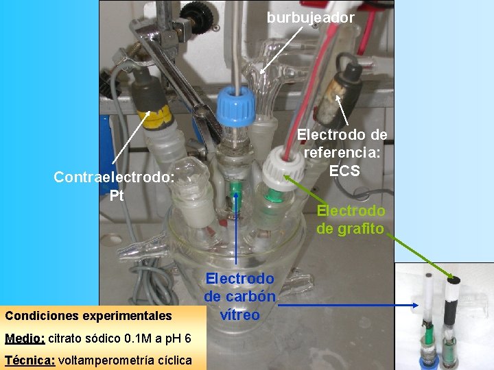burbujeador Electrodo de referencia: ECS Contraelectrodo: Pt Condiciones experimentales Medio: citrato sódico 0. 1