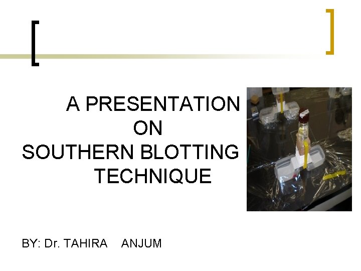 A PRESENTATION ON SOUTHERN BLOTTING TECHNIQUE BY: Dr. TAHIRA ANJUM 