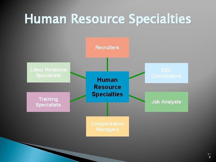 Human Resource Specialties Recruiters Labor Relations Specialists Training Specialists Human Resource Specialties EEO Coordinators