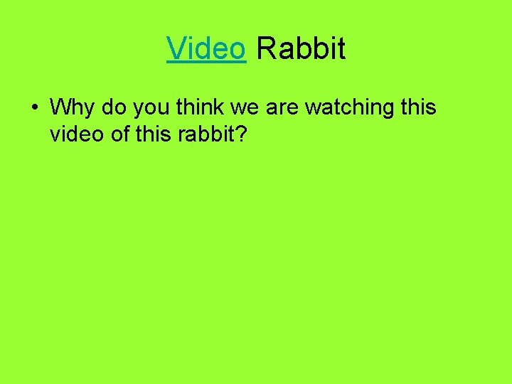 Video Rabbit • Why do you think we are watching this video of this