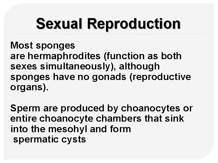 Sexual Reproduction Most sponges are hermaphrodites (function as both sexes simultaneously), although sponges have