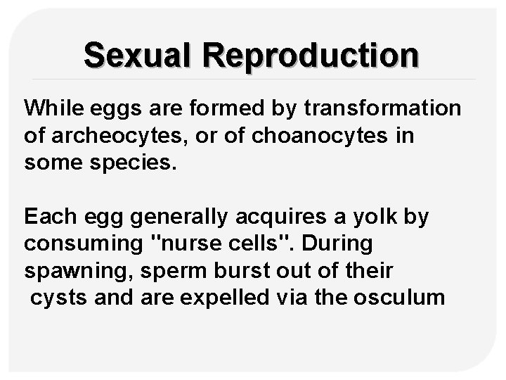 Sexual Reproduction While eggs are formed by transformation of archeocytes, or of choanocytes in
