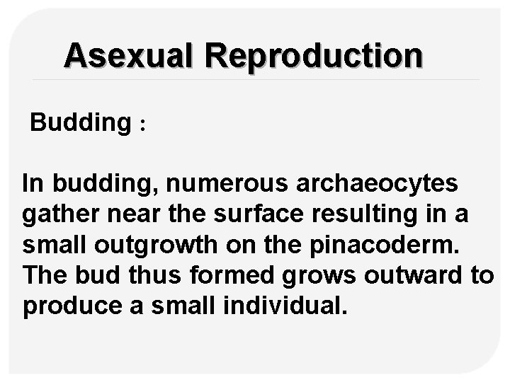 Asexual Reproduction Budding : In budding, numerous archaeocytes gather near the surface resulting in