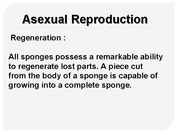 Asexual Reproduction Regeneration : All sponges possess a remarkable ability to regenerate lost parts.