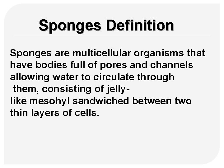 Sponges Definition Sponges are multicellular organisms that have bodies full of pores and channels