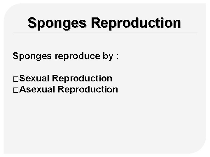 Sponges Reproduction Sponges reproduce by : �Sexual Reproduction �Asexual Reproduction 