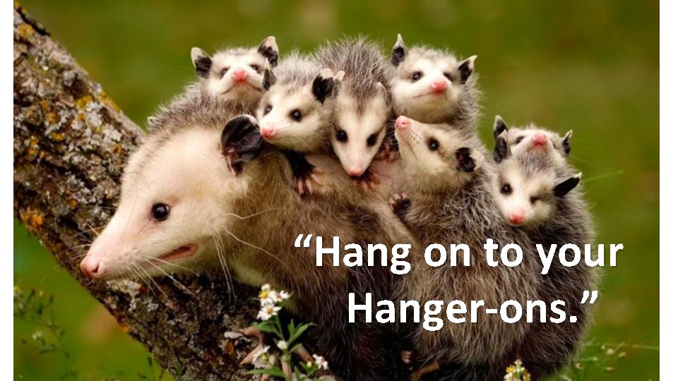 “Hang on to your Hanger-ons. ” “Hang on to your Hanger-ons. ”