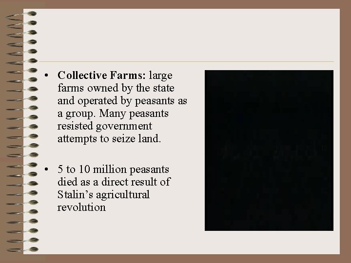  • Collective Farms: large farms owned by the state and operated by peasants