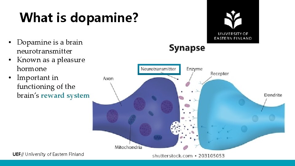 What is dopamine? • Dopamine is a brain neurotransmitter • Known as a pleasure