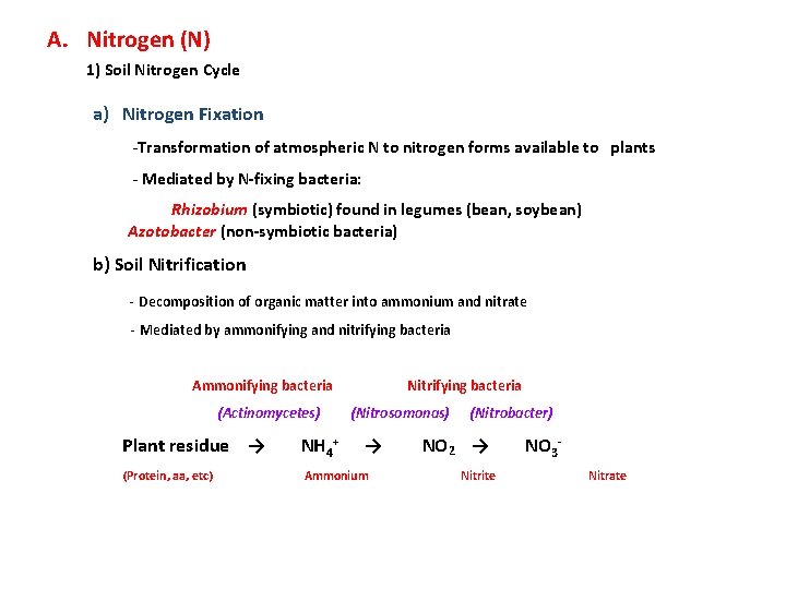 A. Nitrogen (N) 1) Soil Nitrogen Cycle a) Nitrogen Fixation -Transformation of atmospheric N