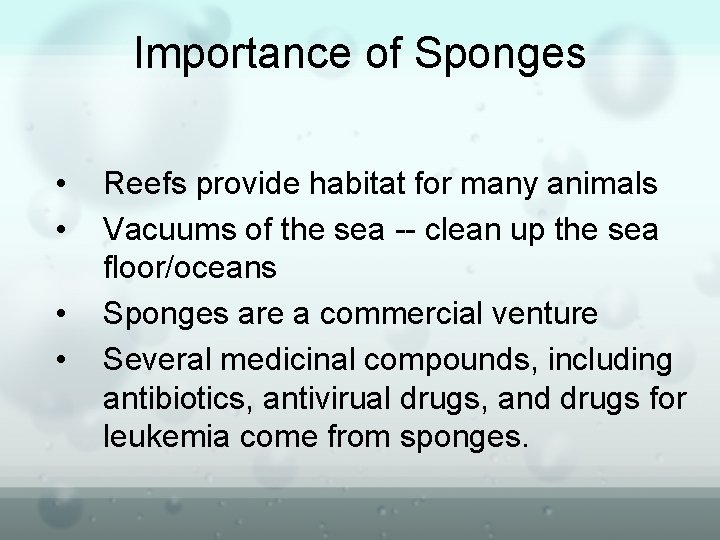 Importance of Sponges • • Reefs provide habitat for many animals Vacuums of the