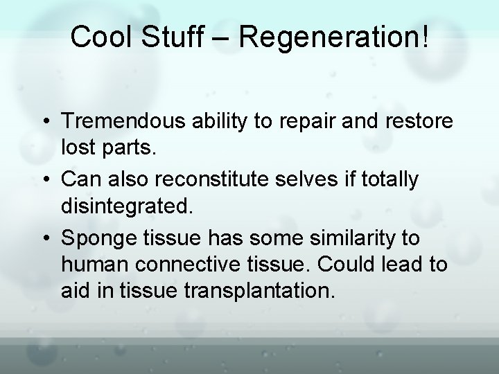 Cool Stuff – Regeneration! • Tremendous ability to repair and restore lost parts. •