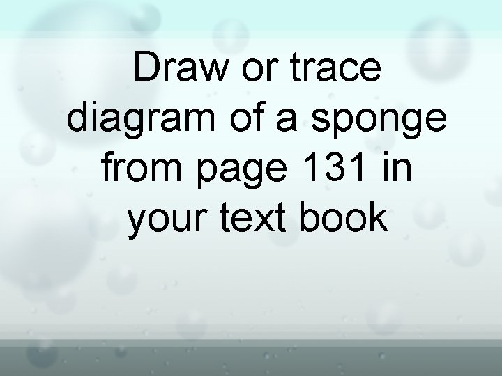 Draw or trace diagram of a sponge from page 131 in your text book