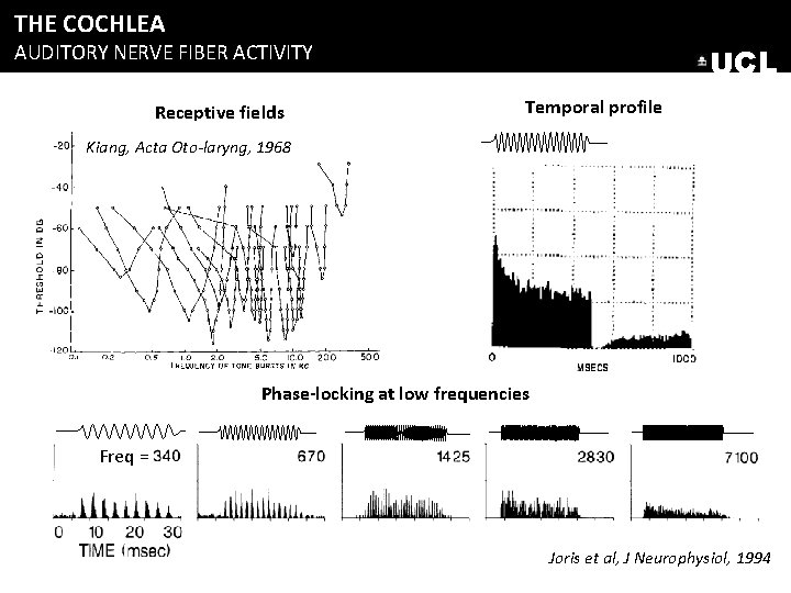 THE COCHLEA AUDITORY NERVE FIBER ACTIVITY Receptive fields UCL Temporal profile Kiang, Acta Oto-laryng, THE COCHLEA AUDITORY NERVE FIBER ACTIVITY Receptive fields UCL Temporal profile Kiang, Acta Oto-laryng,