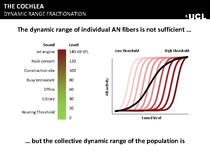 THE COCHLEA DYNAMIC RANGE FRACTIONATION UCL The dynamic range of individual AN fibers is THE COCHLEA DYNAMIC RANGE FRACTIONATION UCL The dynamic range of individual AN fibers is