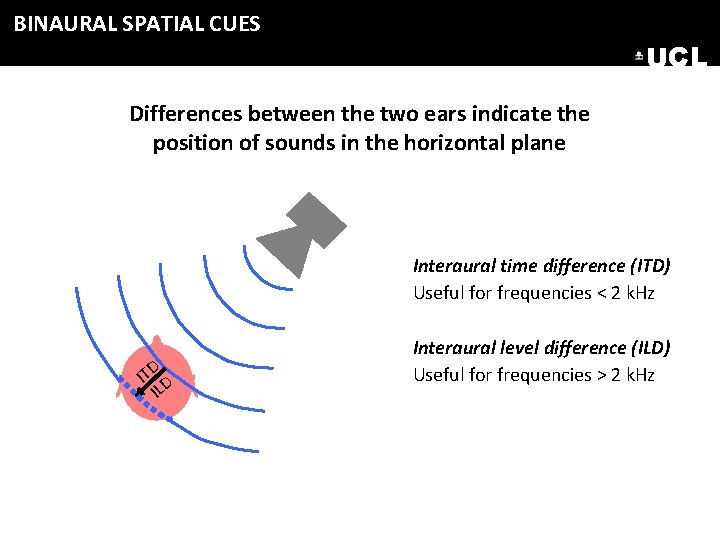 BINAURAL SPATIAL CUES UCL Differences between the two ears indicate the position of sounds BINAURAL SPATIAL CUES UCL Differences between the two ears indicate the position of sounds