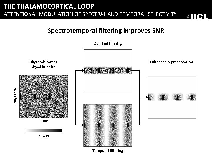 THE THALAMOCORTICAL LOOP ATTENTIONAL MODULATION OF SPECTRAL AND TEMPORAL SELECTIVITY UCL Spectrotemporal filtering improves THE THALAMOCORTICAL LOOP ATTENTIONAL MODULATION OF SPECTRAL AND TEMPORAL SELECTIVITY UCL Spectrotemporal filtering improves
