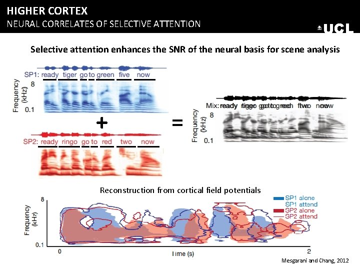 HIGHER CORTEX NEURAL CORRELATES OF SELECTIVE ATTENTION UCL Selective attention enhances the SNR of HIGHER CORTEX NEURAL CORRELATES OF SELECTIVE ATTENTION UCL Selective attention enhances the SNR of