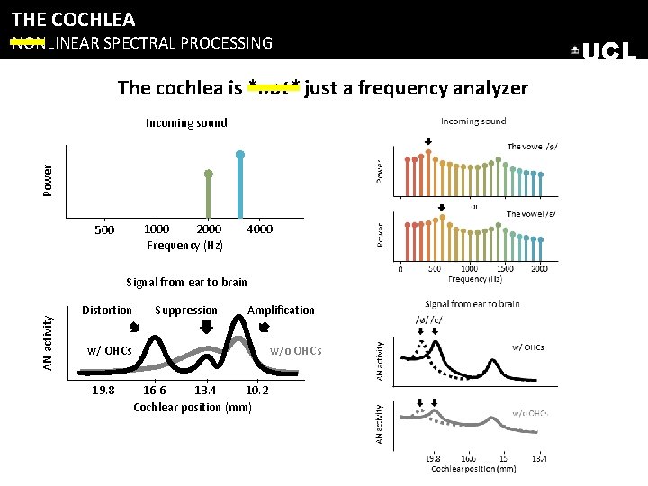 THE COCHLEA NONLINEAR SPECTRAL PROCESSING The cochlea is *not* just a frequency analyzer Power THE COCHLEA NONLINEAR SPECTRAL PROCESSING The cochlea is *not* just a frequency analyzer Power
