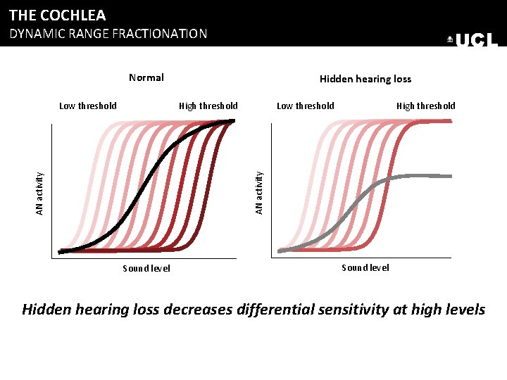 THE COCHLEA DYNAMIC RANGE FRACTIONATION UCL Normal Low threshold High threshold AN activity Low THE COCHLEA DYNAMIC RANGE FRACTIONATION UCL Normal Low threshold High threshold AN activity Low