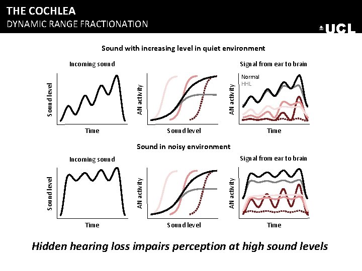 THE COCHLEA DYNAMIC RANGE FRACTIONATION UCL Sound with increasing level in quiet environment AN THE COCHLEA DYNAMIC RANGE FRACTIONATION UCL Sound with increasing level in quiet environment AN