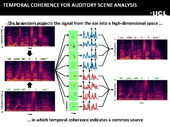 TEMPORAL COHERENCE FOR AUDITORY SCENE ANALYSIS UCL The brainstem projects the signal from the TEMPORAL COHERENCE FOR AUDITORY SCENE ANALYSIS UCL The brainstem projects the signal from the