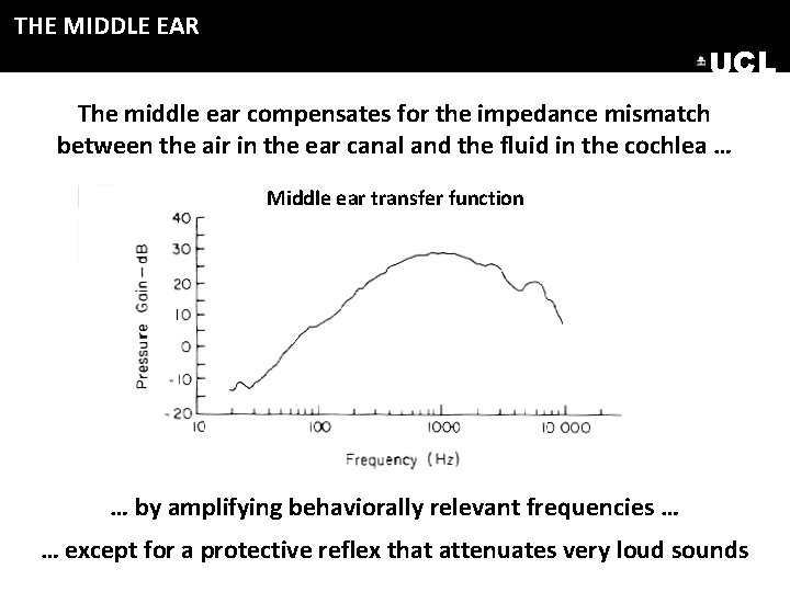 THE MIDDLE EAR UCL The middle ear compensates for the impedance mismatch between the THE MIDDLE EAR UCL The middle ear compensates for the impedance mismatch between the