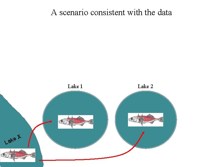 A scenario consistent with the data Lake 1 e Lak X Lake 2 