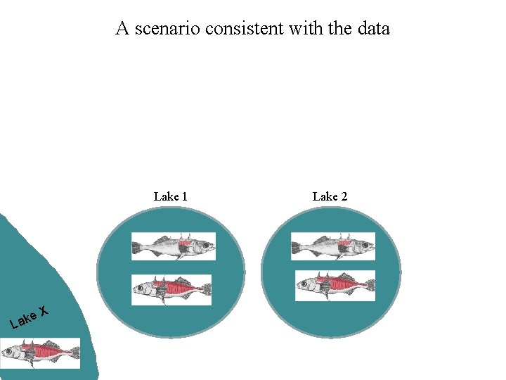 A scenario consistent with the data Lake 1 e Lak X Lake 2 