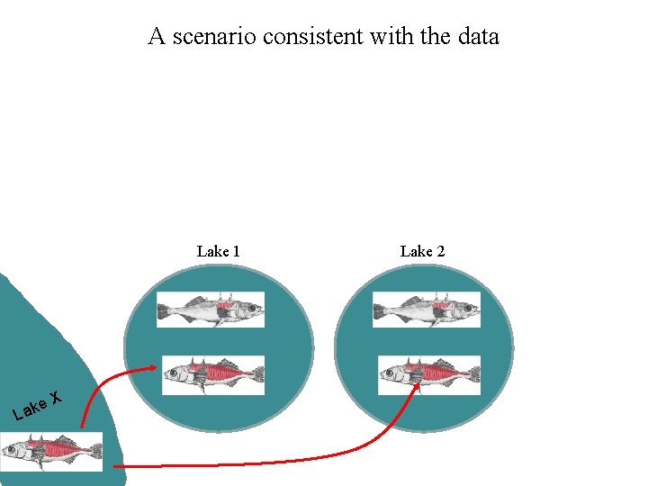 A scenario consistent with the data Lake 1 e Lak X Lake 2 