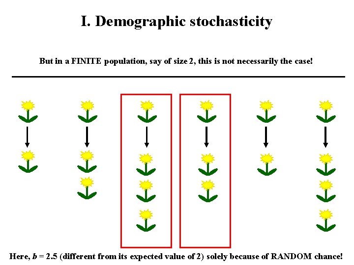 I. Demographic stochasticity But in a FINITE population, say of size 2, this is