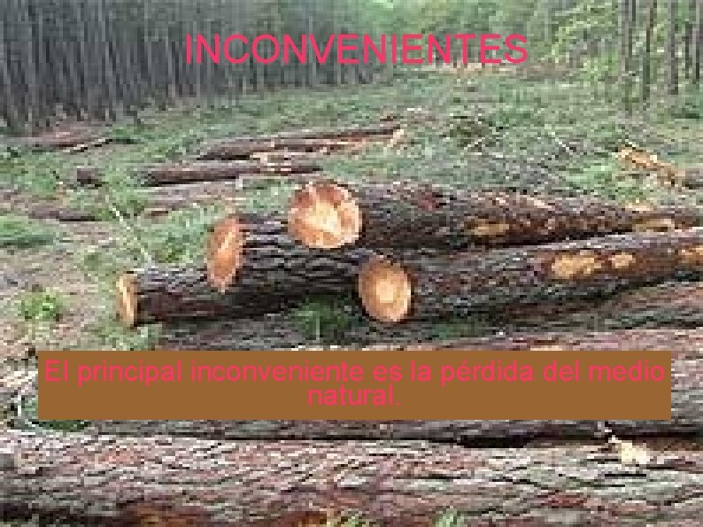 INCONVENIENTES El principal inconveniente es la pérdida del medio natural. 