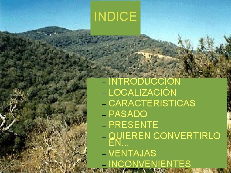 INDICE INTRODUCCION – LOCALIZACIÓN – CARACTERISTICAS – PASADO – PRESENTE – QUIEREN CONVERTIRLO EN.