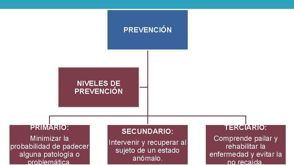 PREVENCIÓN NIVELES DE PREVENCIÓN PRIMARIO: Minimizar la probabilidad de padecer alguna patología o problemática.