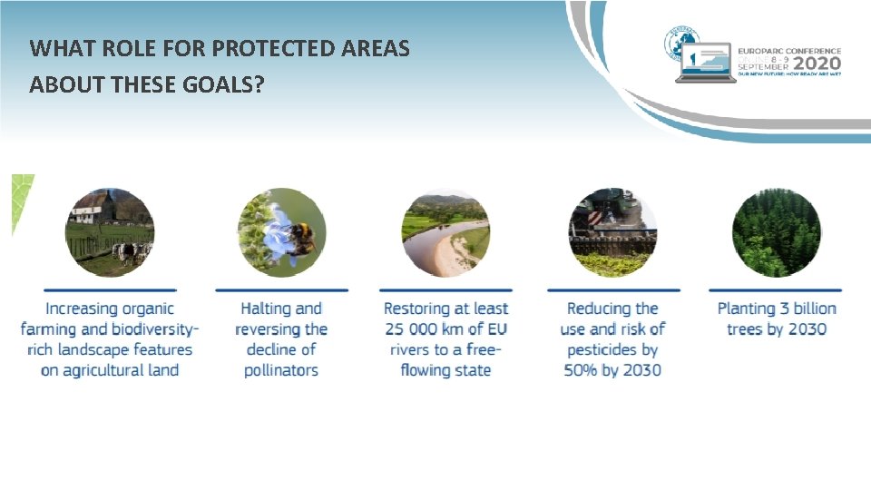 WHAT ROLE FOR PROTECTED AREAS ABOUT THESE GOALS? 