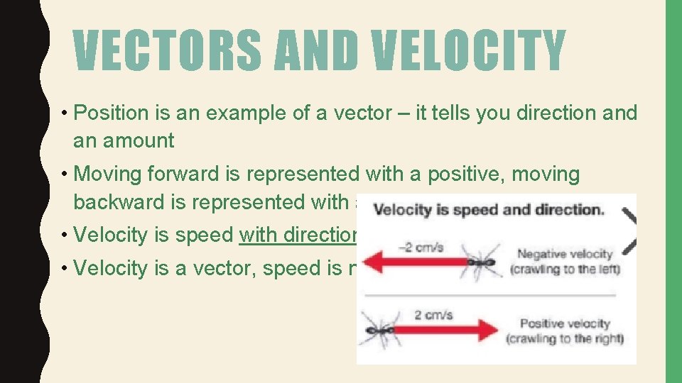 VECTORS AND VELOCITY • Position is an example of a vector – it tells