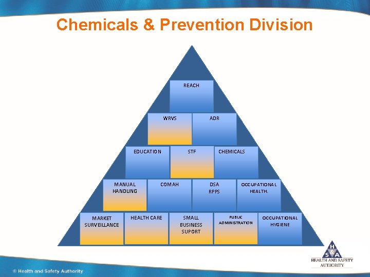 Chemicals & Prevention Division REACH WRVS EDUCATION MANUAL HANDLING MARKET SURVEILLANCE ADR STF COMAH