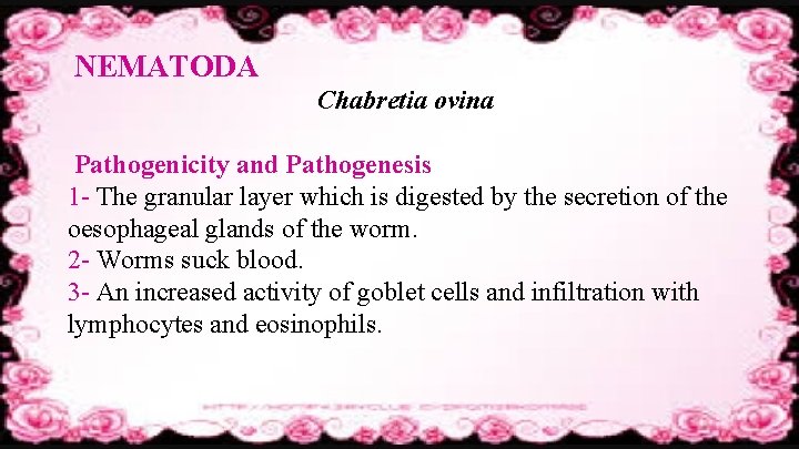 NEMATODA Chabretia ovina Pathogenicity and Pathogenesis 1 - The granular layer which is digested