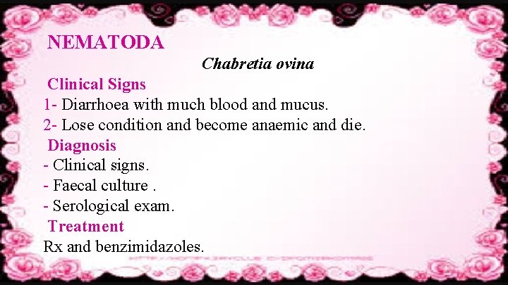 NEMATODA Chabretia ovina Clinical Signs 1 - Diarrhoea with much blood and mucus. 2