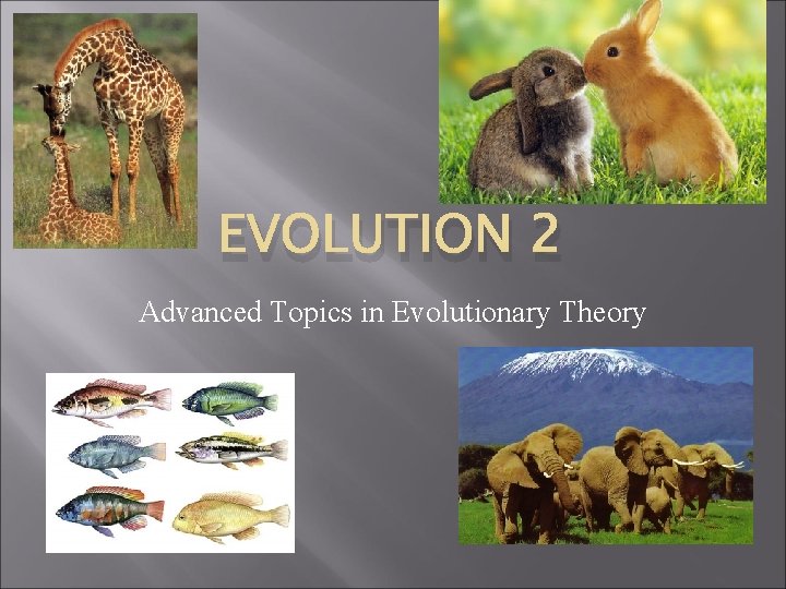 EVOLUTION 2 Advanced Topics in Evolutionary Theory 