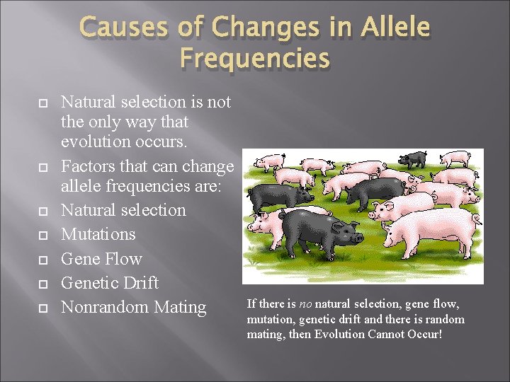Causes of Changes in Allele Frequencies Natural selection is not the only way that
