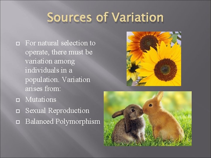 Sources of Variation For natural selection to operate, there must be variation among individuals