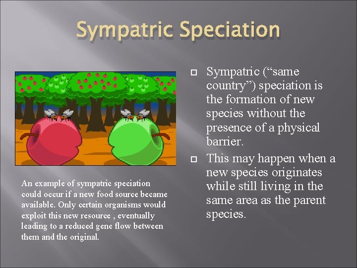 Sympatric Speciation An example of sympatric speciation could occur if a new food source