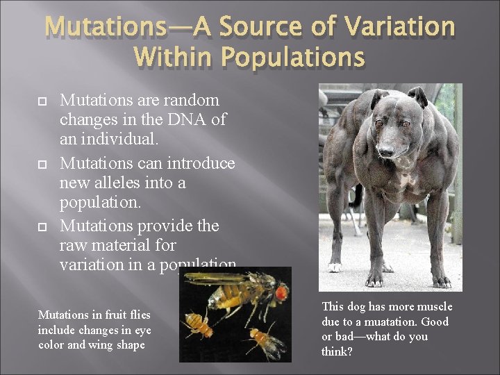 Mutations—A Source of Variation Within Populations Mutations are random changes in the DNA of