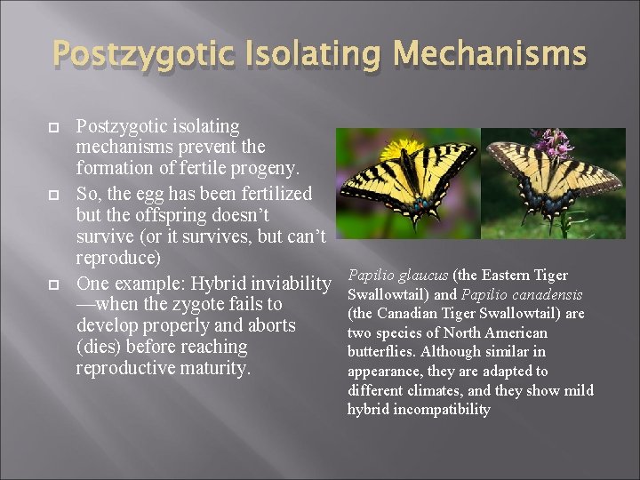 Postzygotic Isolating Mechanisms Postzygotic isolating mechanisms prevent the formation of fertile progeny. So, the