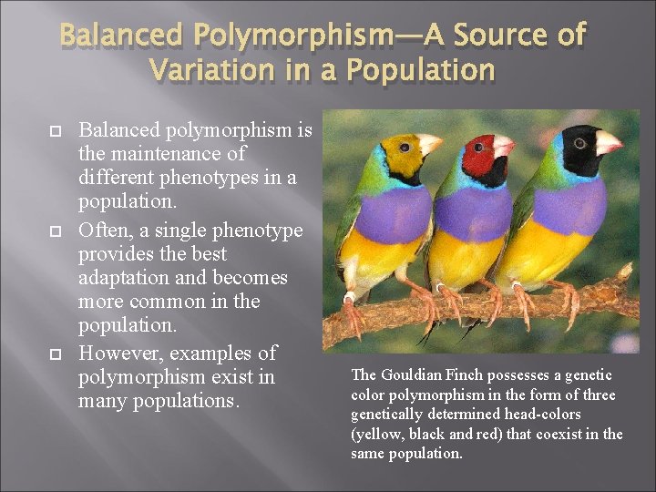 Balanced Polymorphism—A Source of Variation in a Population Balanced polymorphism is the maintenance of